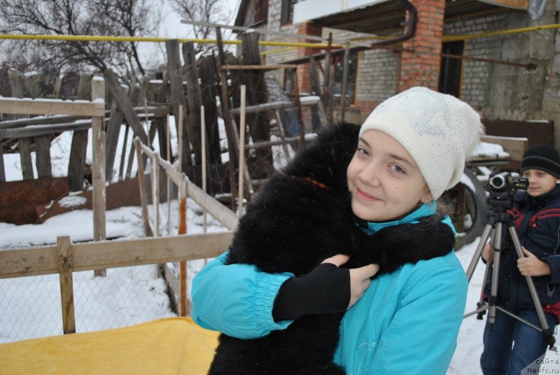 Фотография № 232479