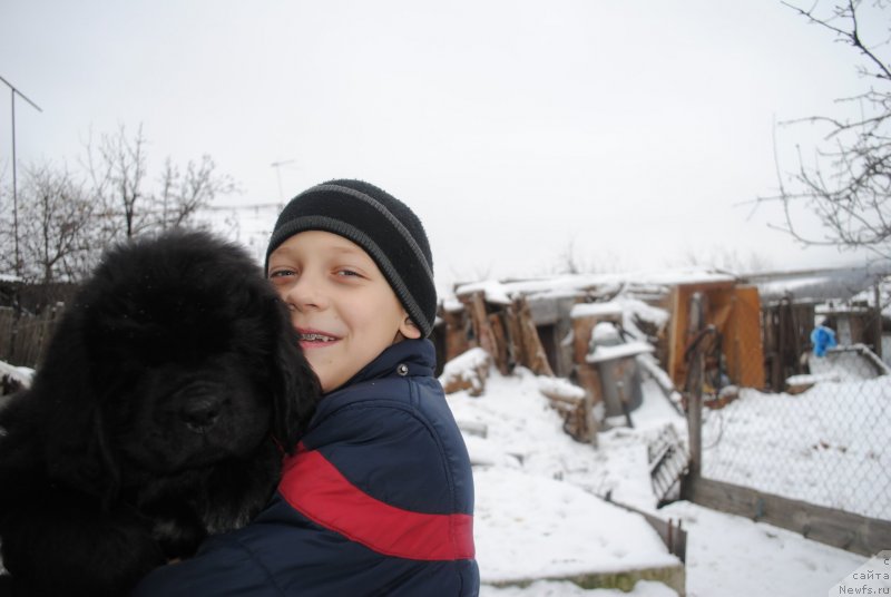 Фотография № 232519