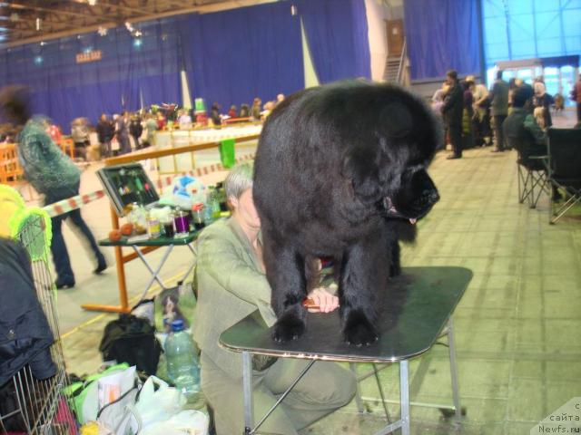 Фотография № 23253