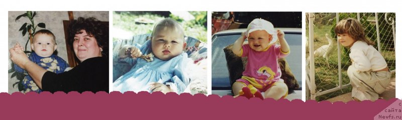 Фотография № 232536