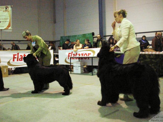 Фотография № 23254