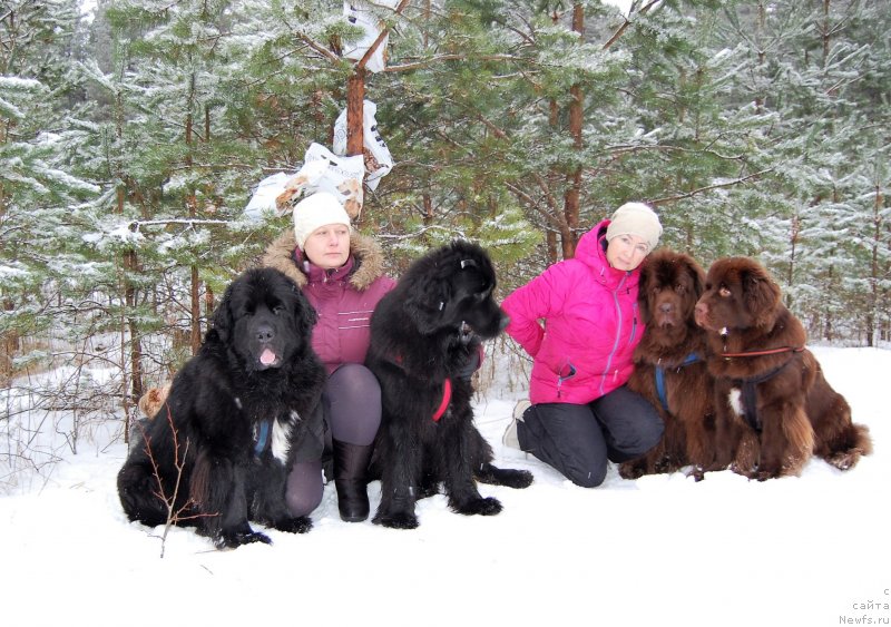 Фотография № 232589