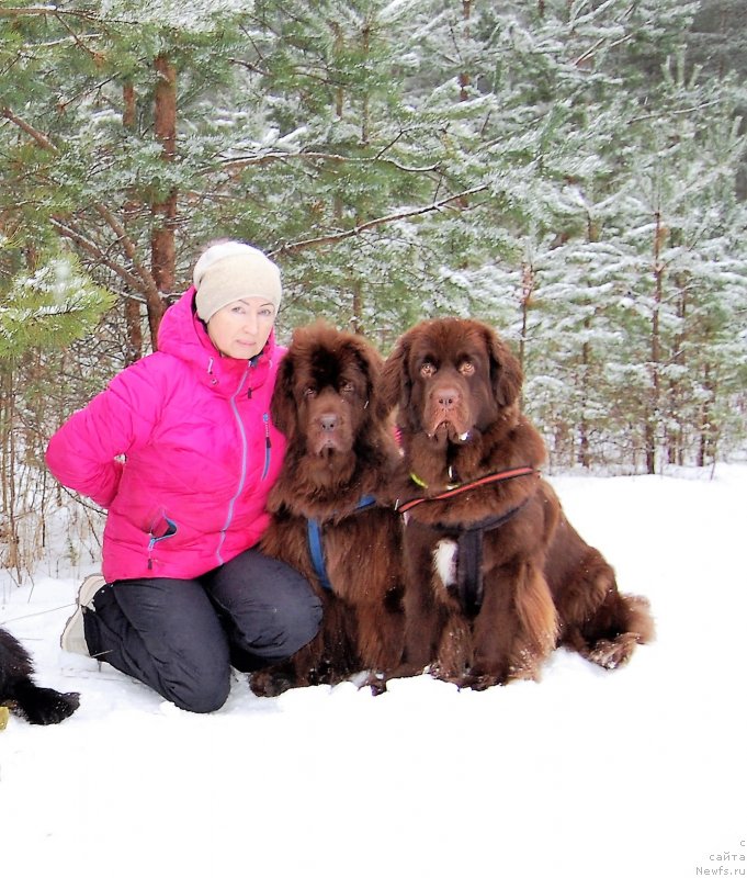 Фотография № 232590