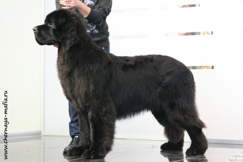 Фотография № 232615