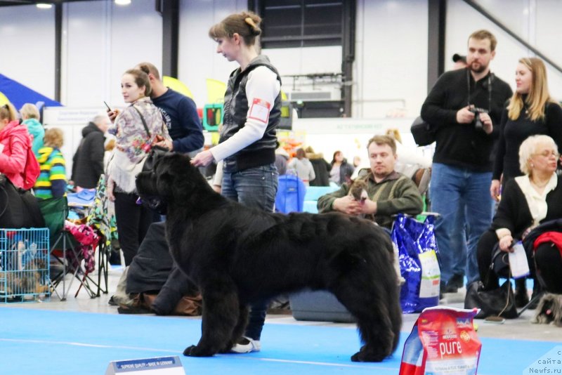 Фотография № 232616