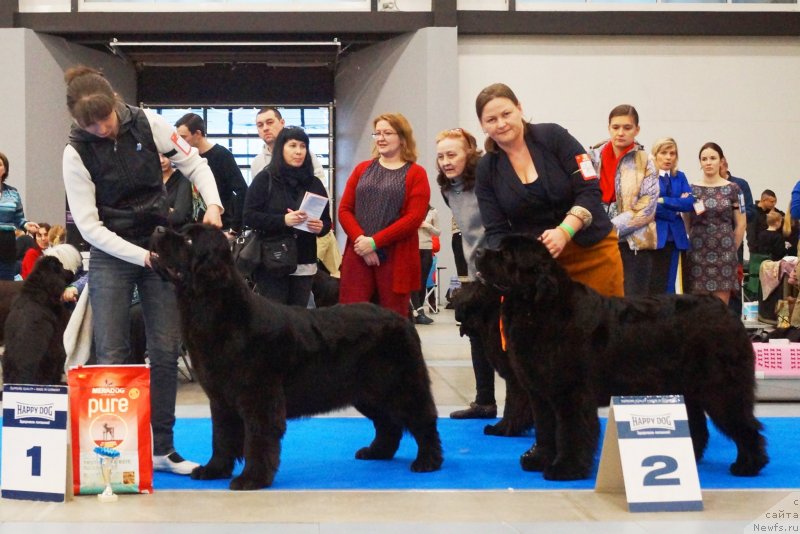 Фотография № 232617