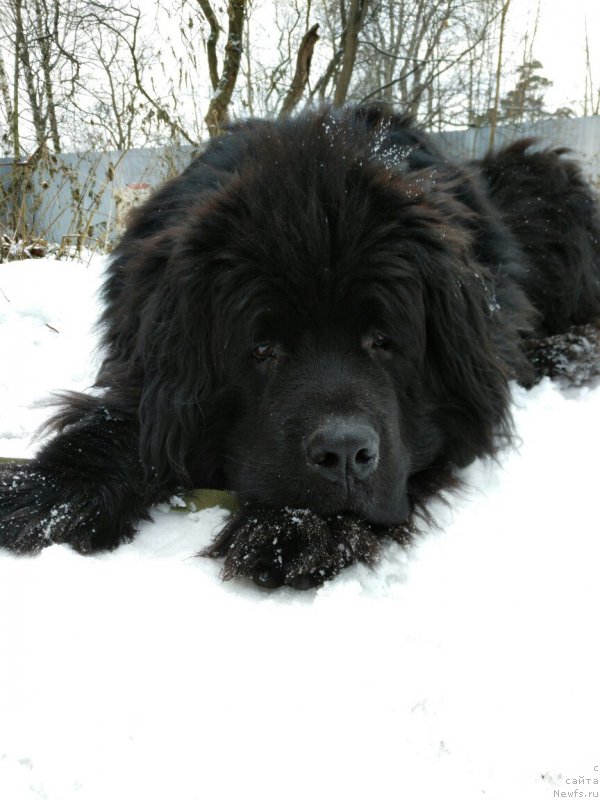 Фотография № 232619