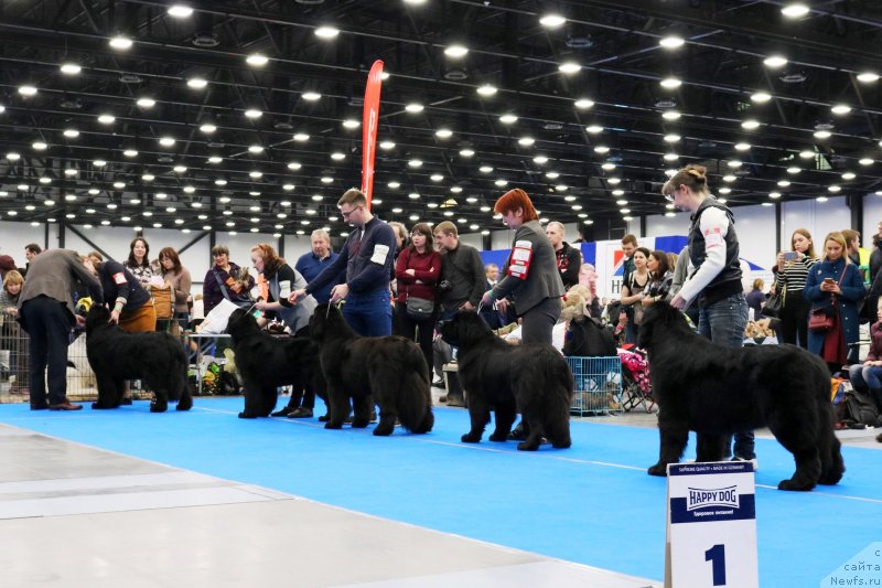 Фотография № 232622