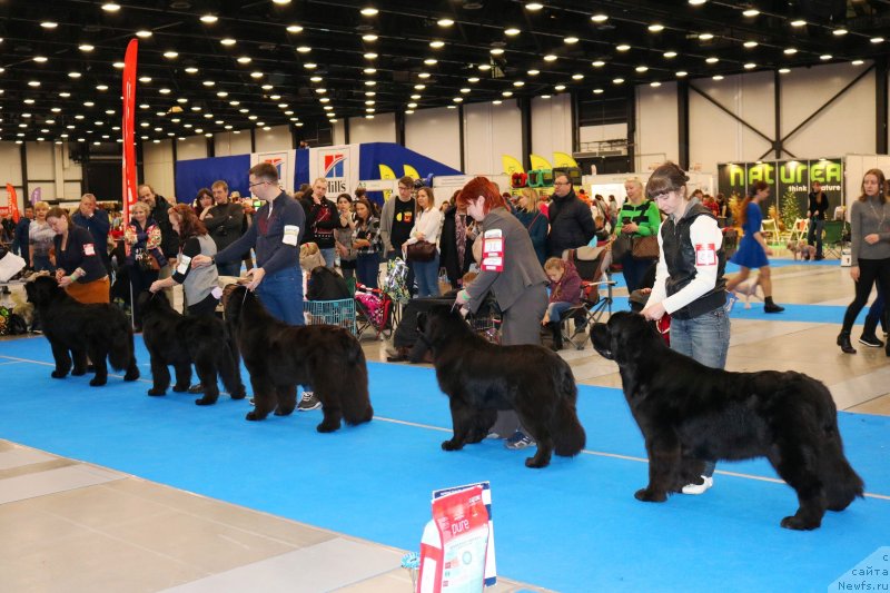 Фотография № 232623