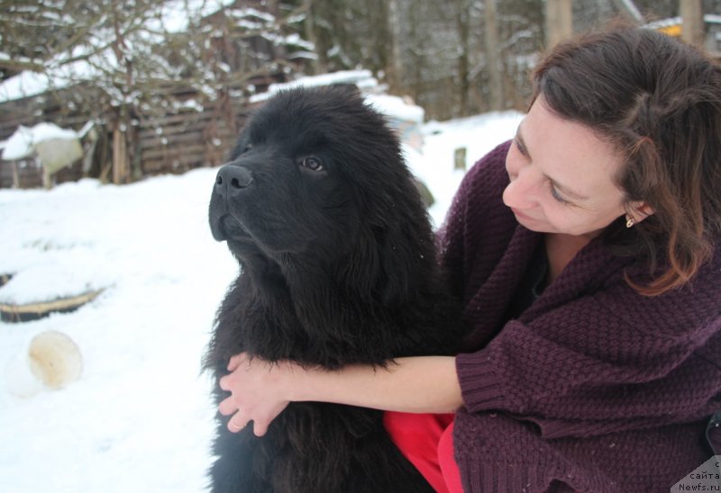 Фотография № 232625