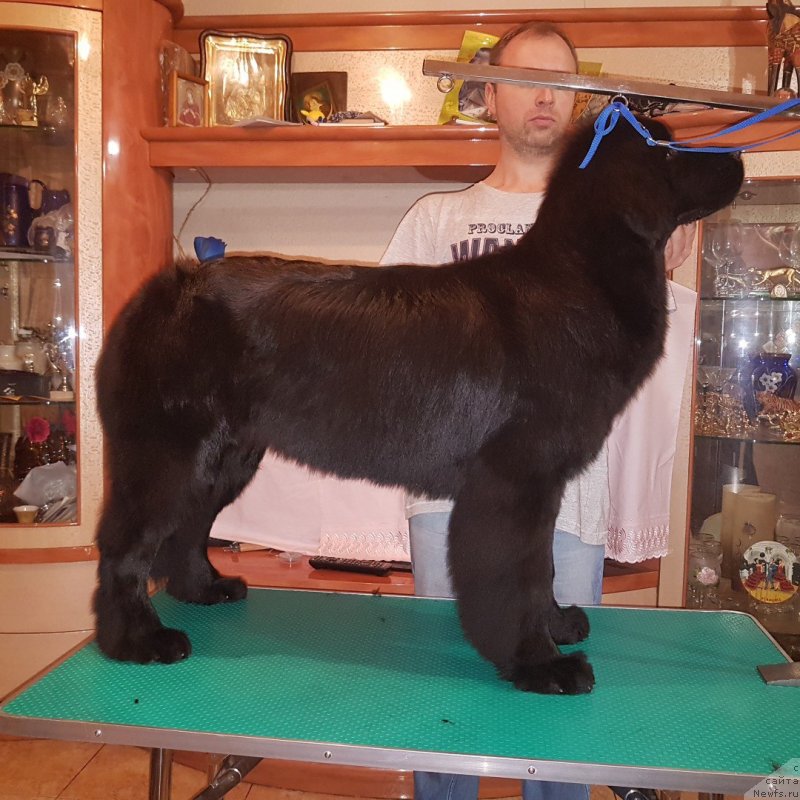 Фотография № 232663