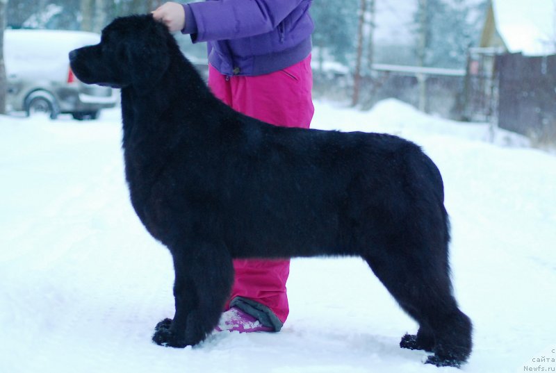 Фотография № 232697