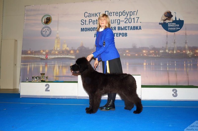 Фотография № 232703