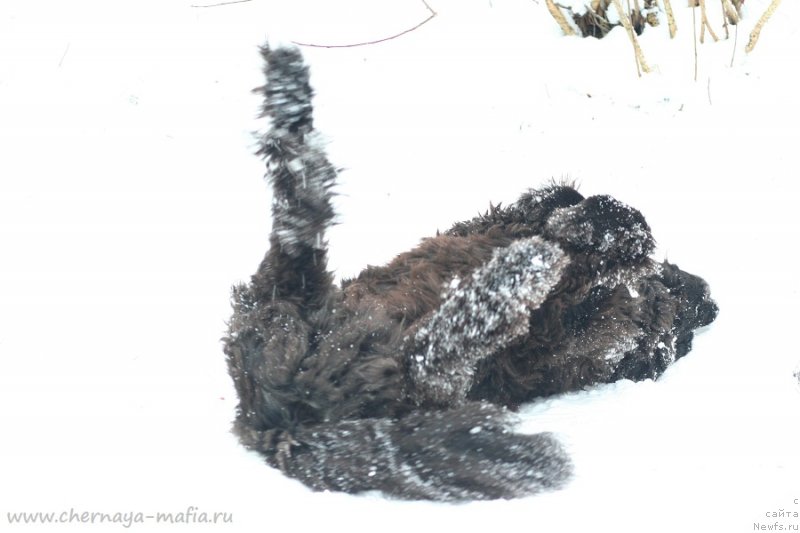 Фотография № 232717