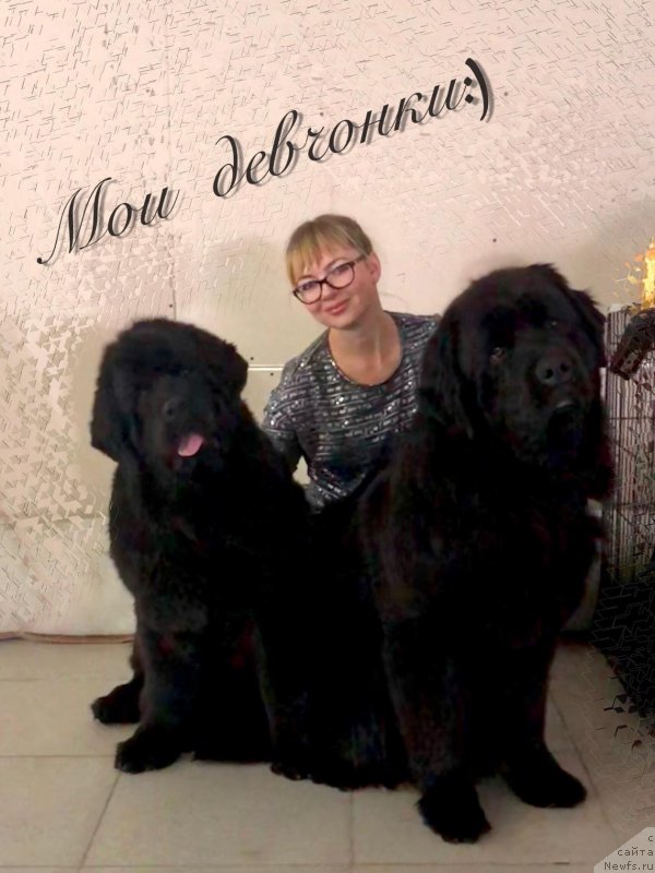 Фотография № 232721