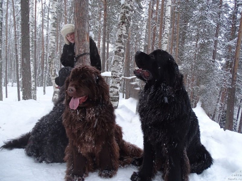 Фотография № 232729