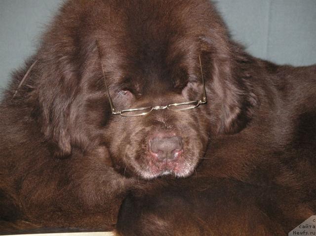 Фотография № 23273