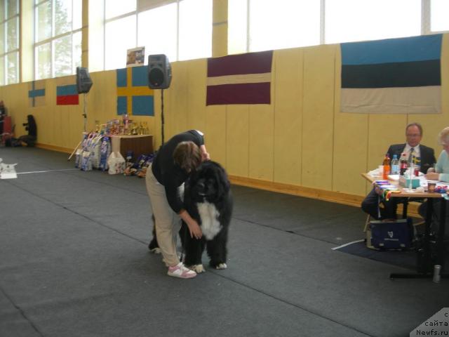 Фотография № 23274