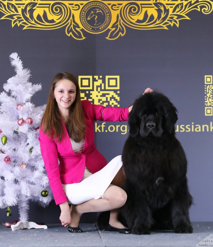 Фото: ньюфаундленд Eclipseofthemoon Newfoundlandhills Newfoundlandhills