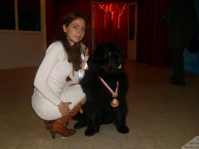 Фото: ньюфаундленд Оттава (Ottava), Катеринка Классен