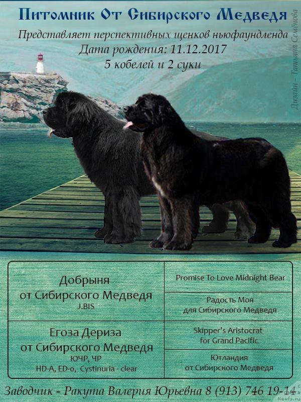 Фотография № 232776