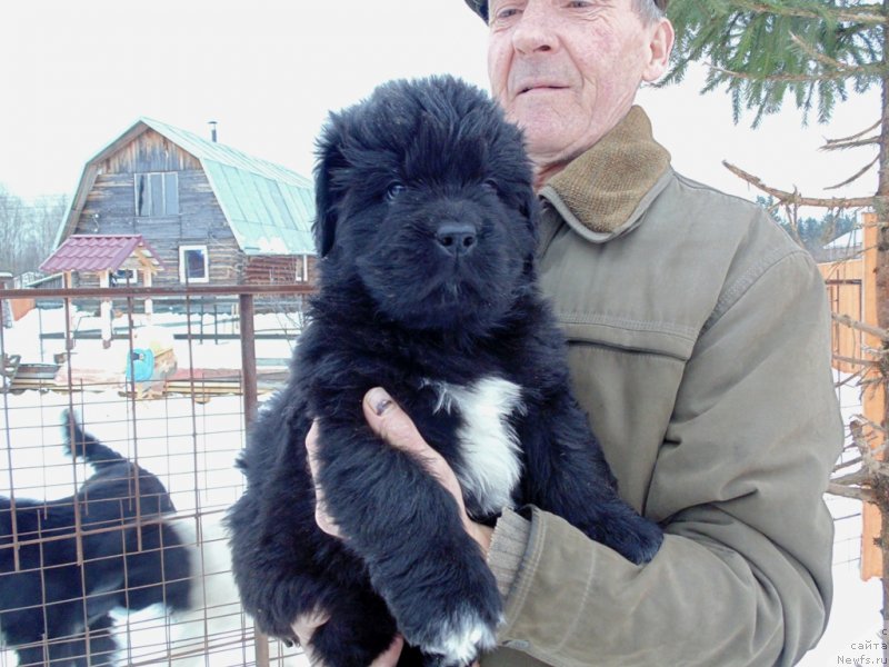 Фотография № 232778