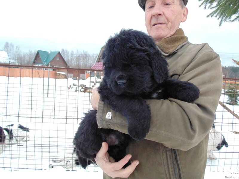 Фотография № 232783