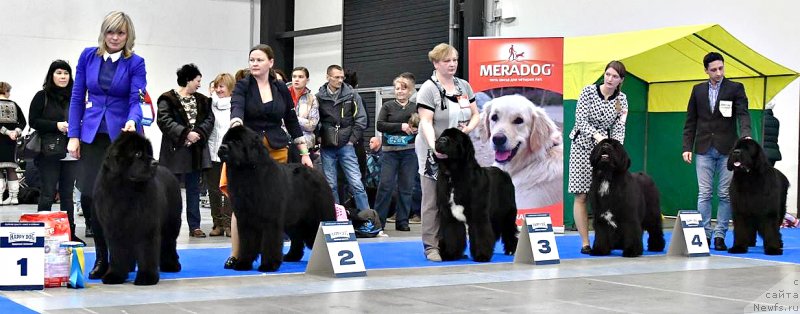 Фотография № 232793