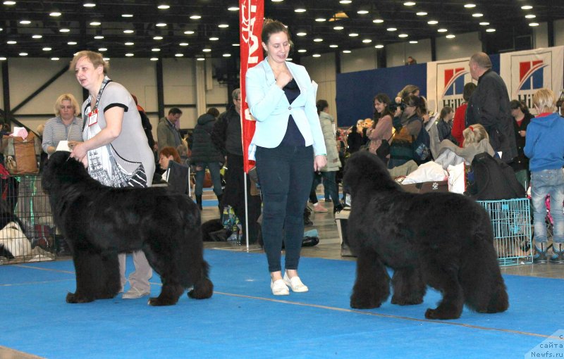 Фотография № 232806