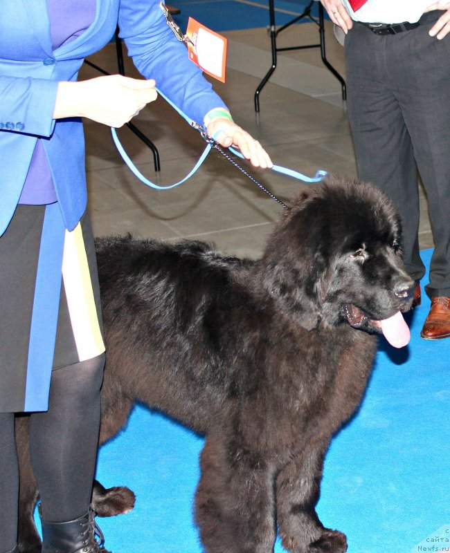 Фотография № 232807