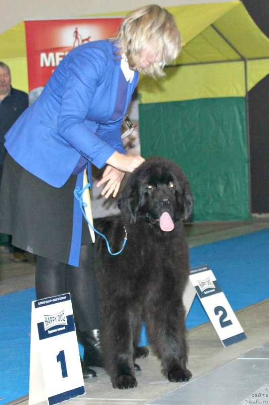 Фотография № 232808