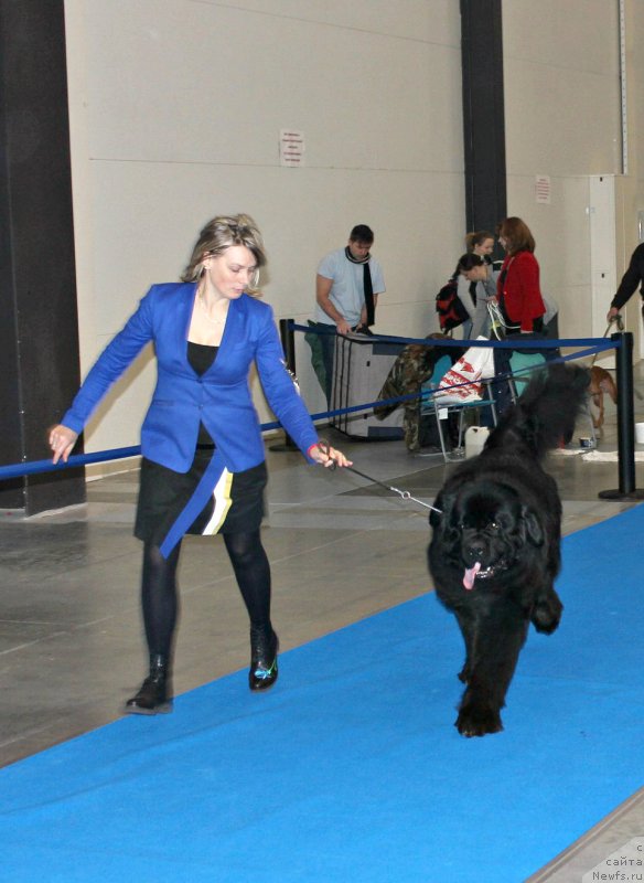 Фотография № 232816