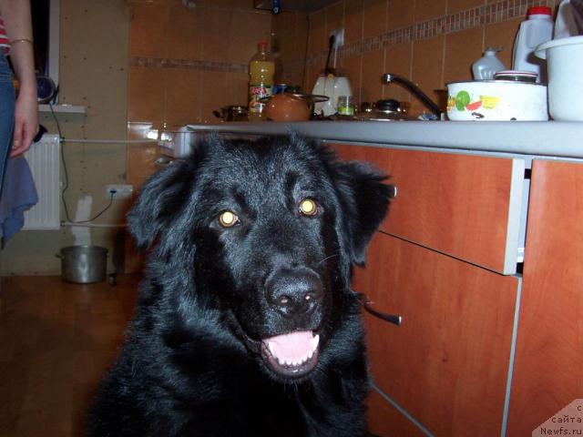 Фото: Вячеслав Ковбаса