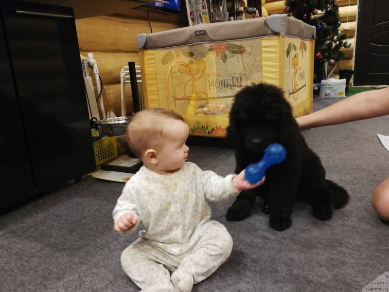 Фотография № 232821