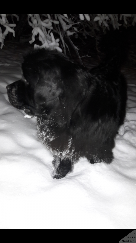 Фотография № 232824