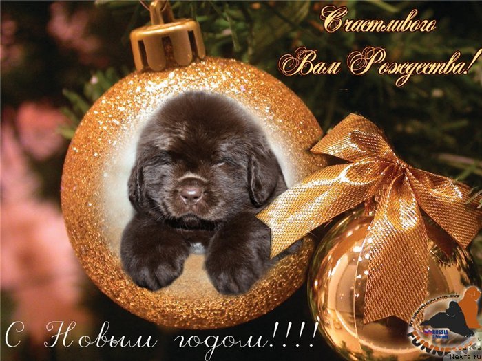 Фотография № 232826