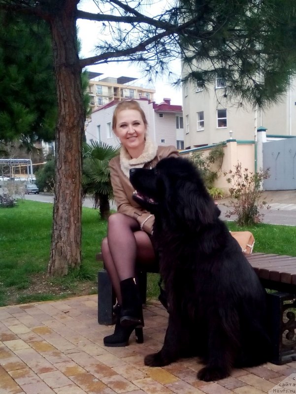 Фотография № 232832