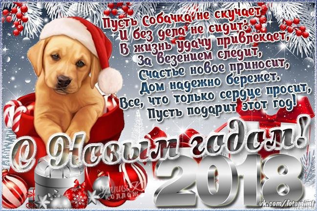 Фото: 2018 год