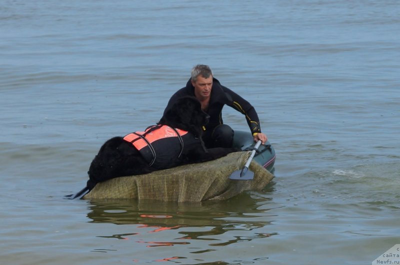 Фотография № 232840