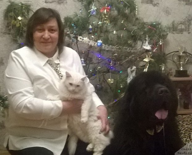 Фотография № 232842