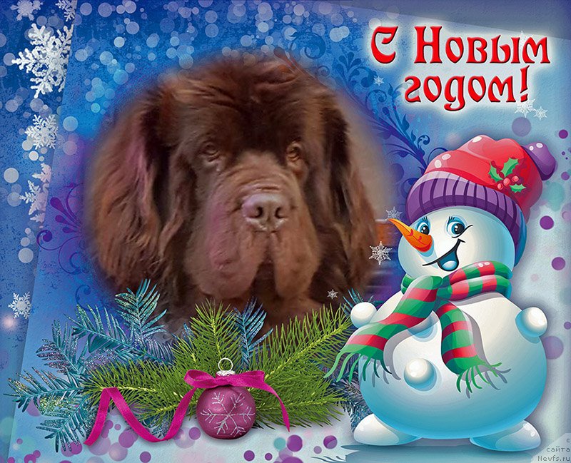 Фотография № 232846