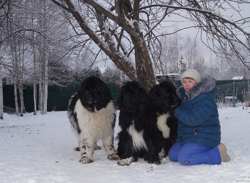 Фотография № 232848