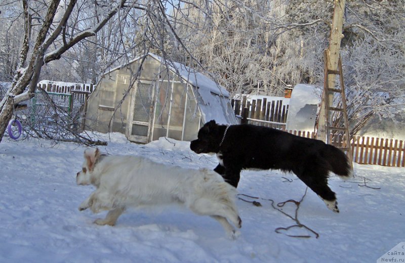 Фотография № 232850