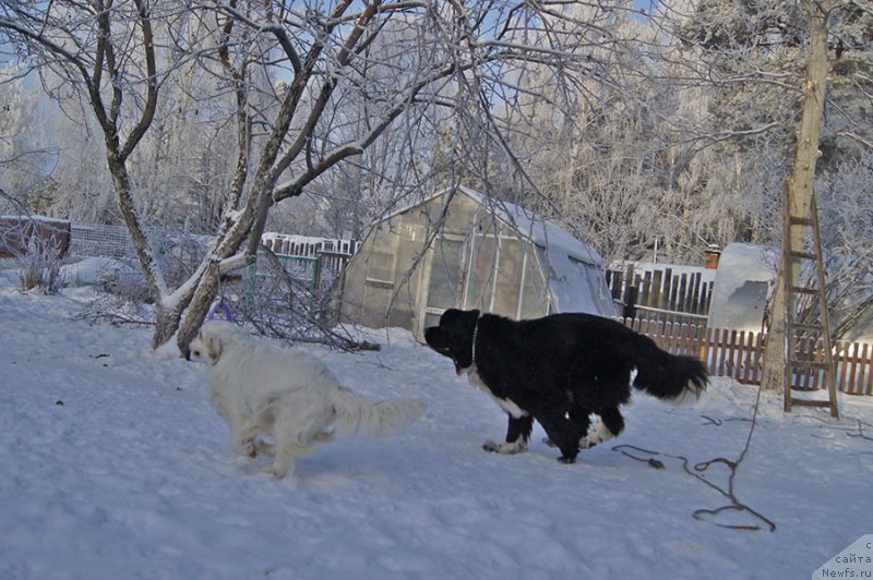 Фотография № 232852