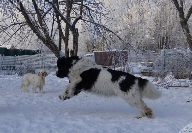 Фотография № 232853