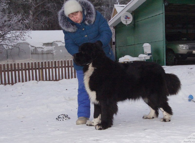 Фотография № 232855