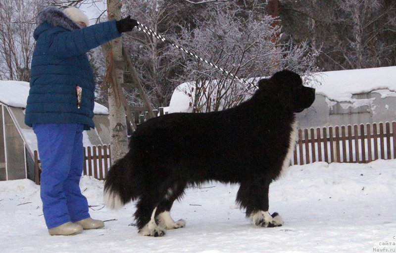 Фотография № 232856