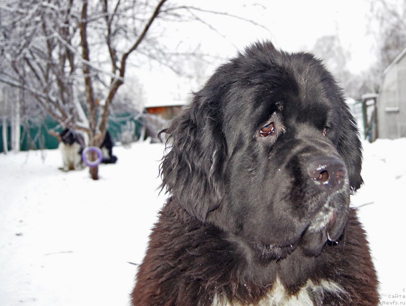 Фотография № 232860