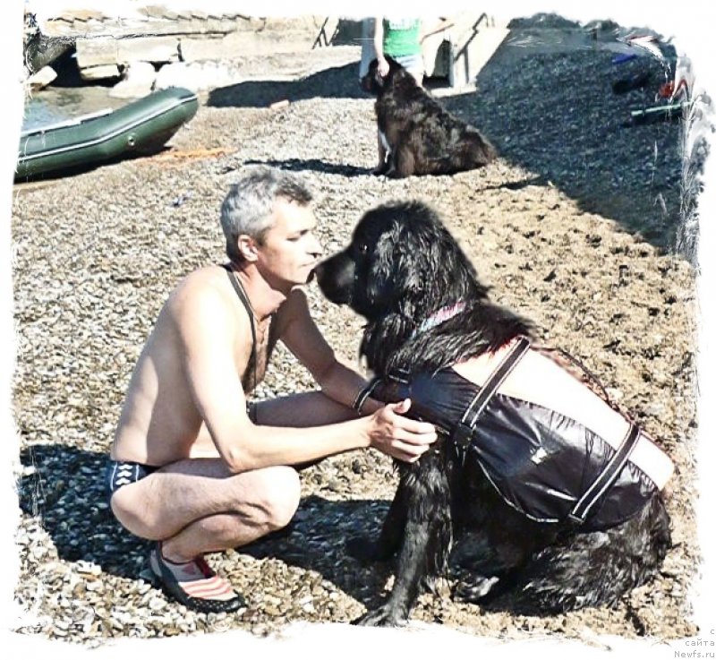 Фотография № 232875