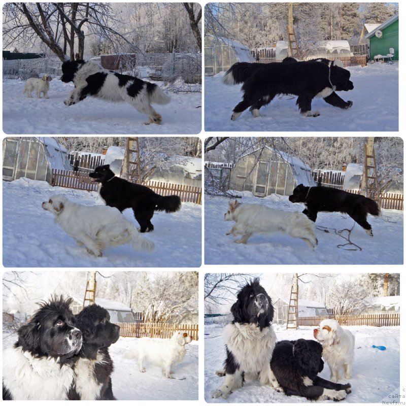 Фотография № 232886